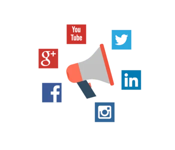  Custom Web Solutions